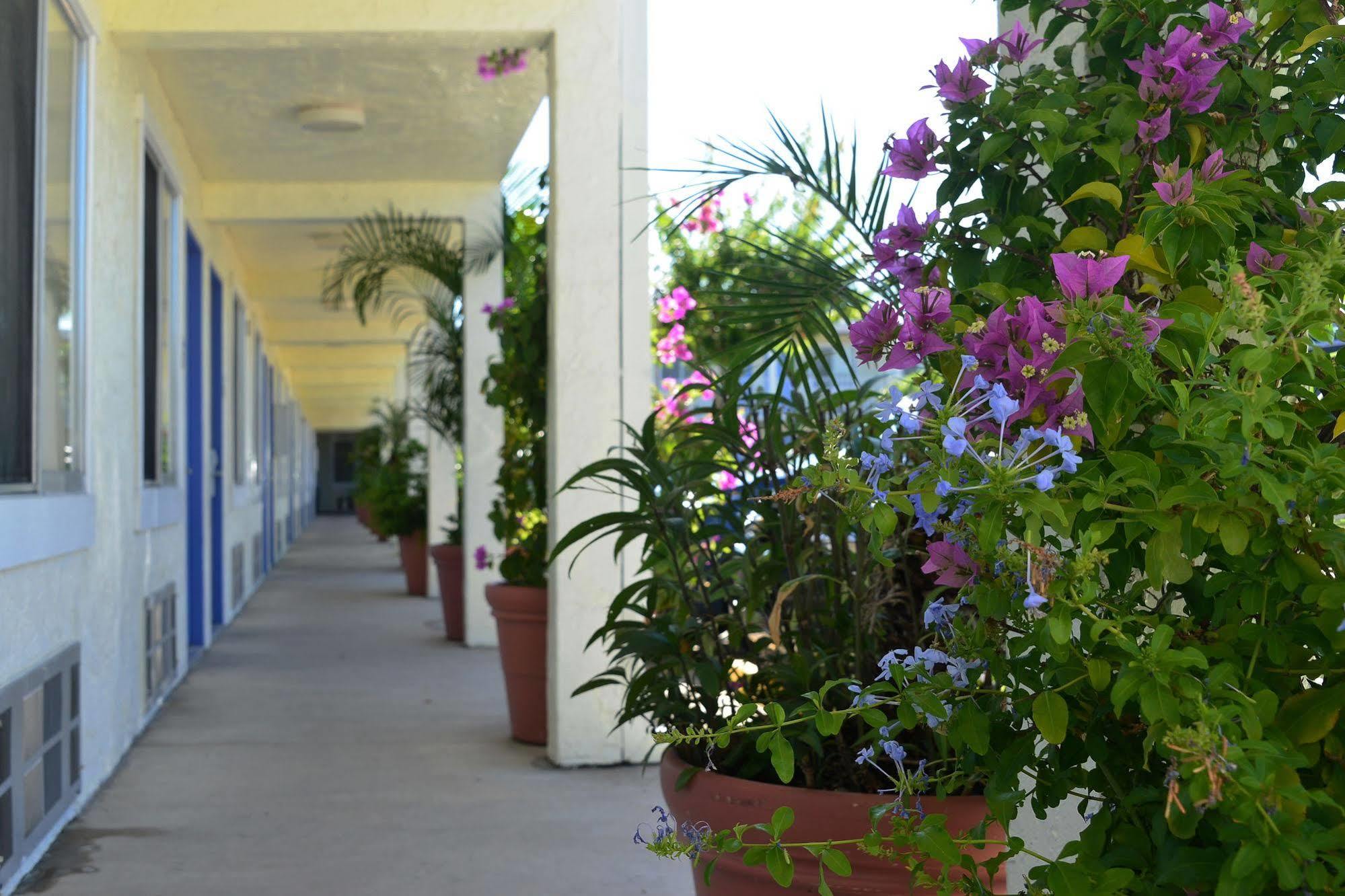 Americas Best Value Inn Bradenton-Sarasota Esterno foto
